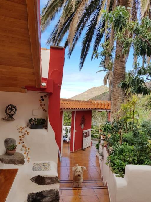 Hyggeland II - Oase Der Ruhe Im Palmendorf Tazo Apartman Vallehermoso Kültér fotó